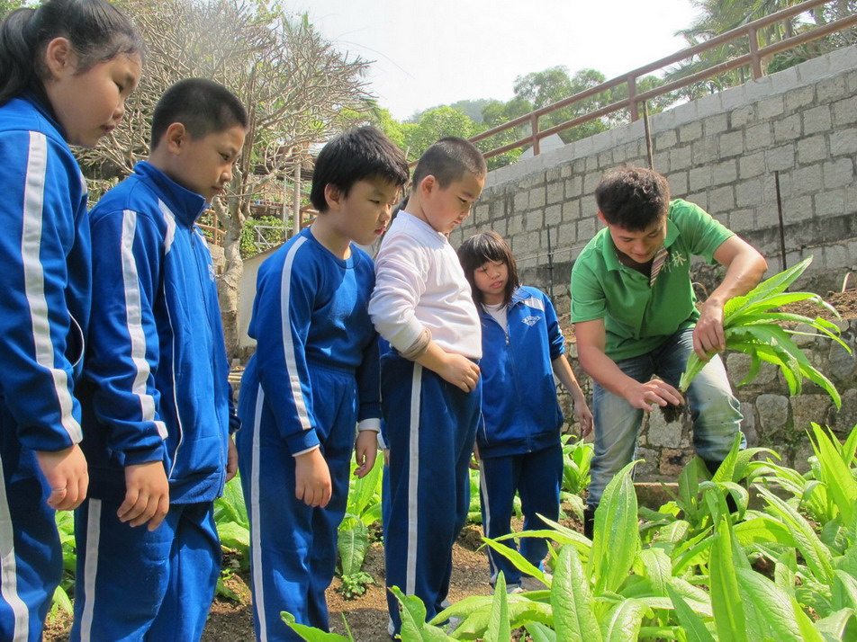 「金像農場開心堆肥體驗活動」