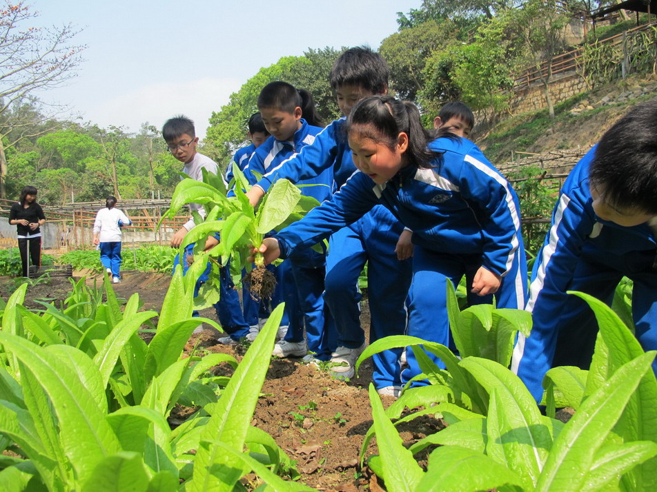 「金像農場開心堆肥體驗活動」