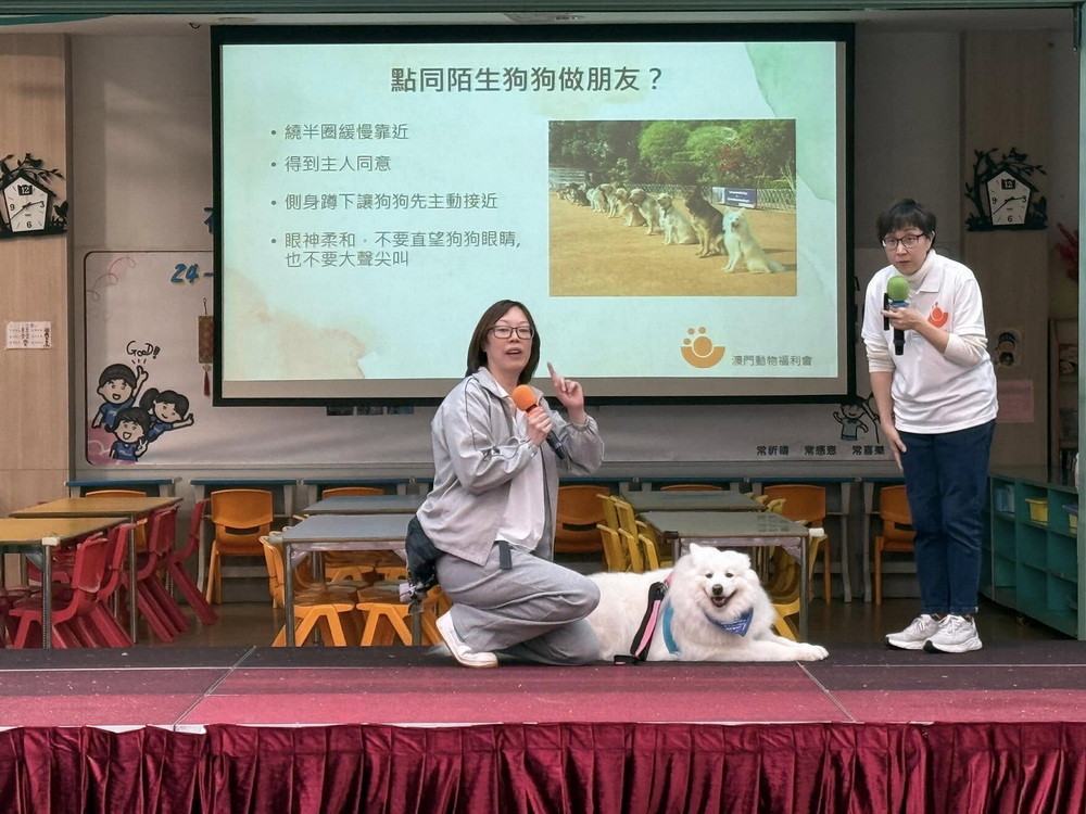 1741139154269840.jpg 1741139154269840.jpg