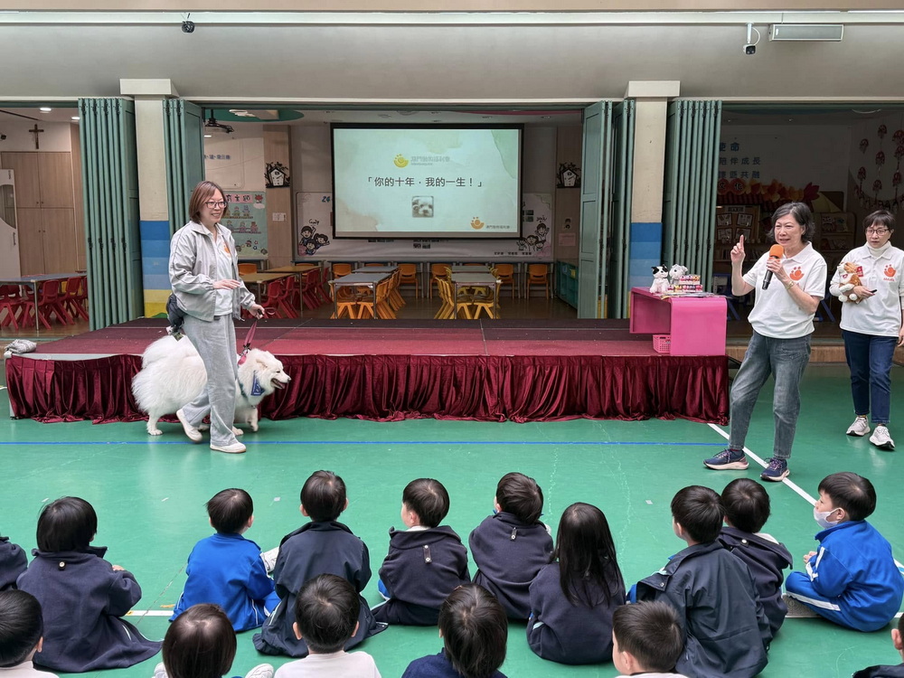 1741139154341244.jpg 1741139154341244.jpg