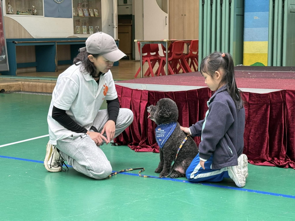 1741139155461078.jpg 1741139155461078.jpg