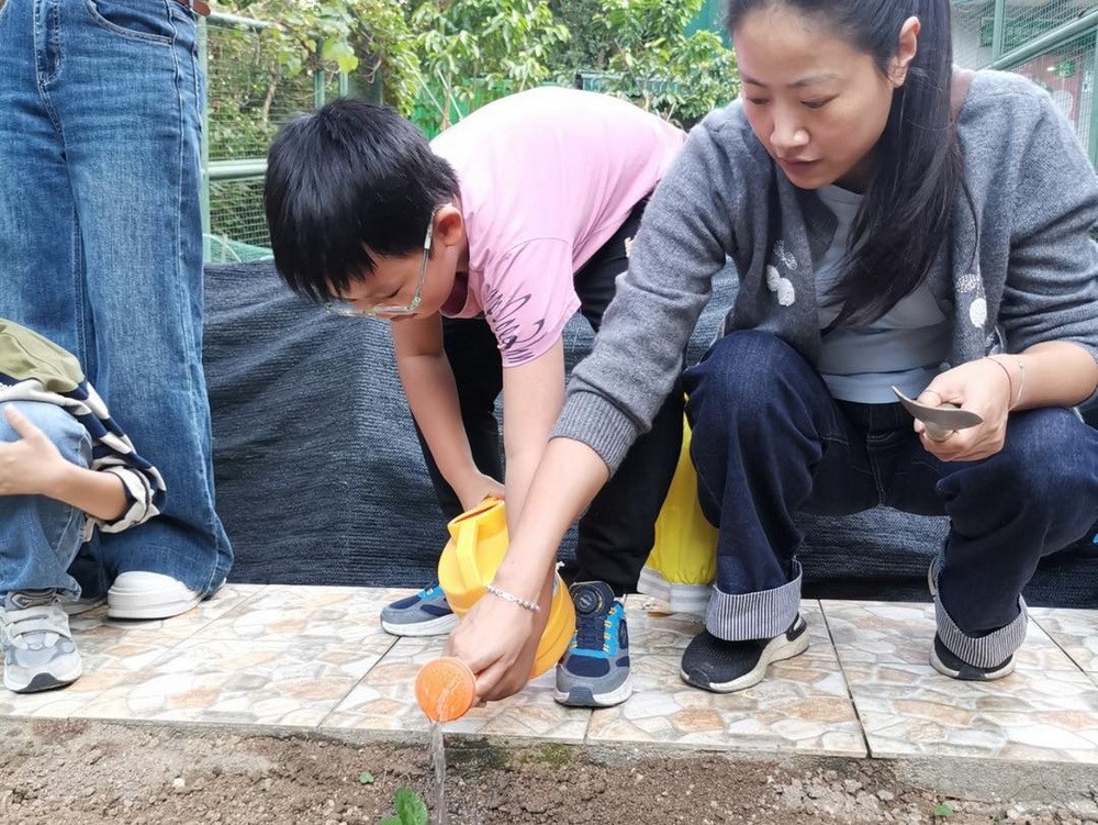 1765505738961636.jpg 1765505738961636.jpg