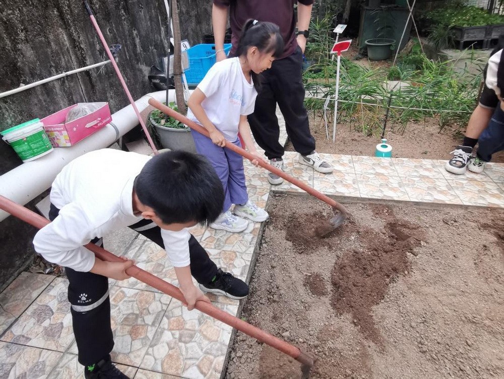 1765505739567416.jpg 1765505739567416.jpg