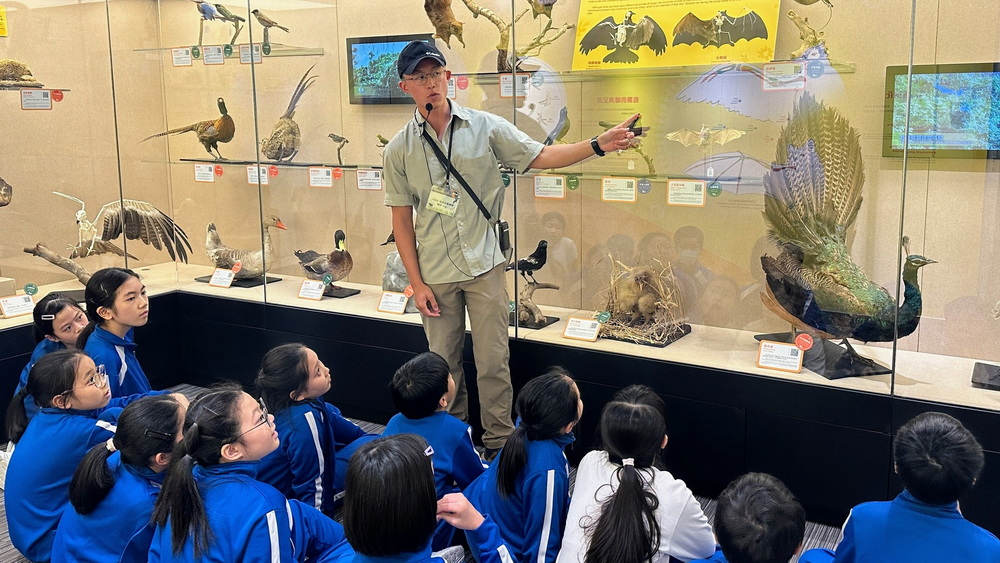 1765507282268358.jpg 1765507282268358.jpg