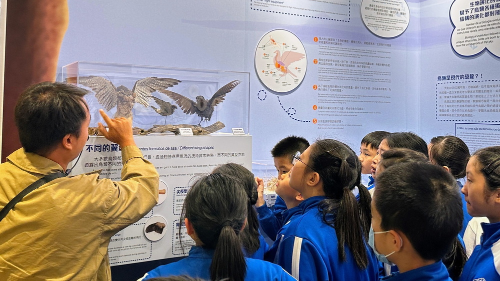 1765507282868539.jpg 1765507282868539.jpg