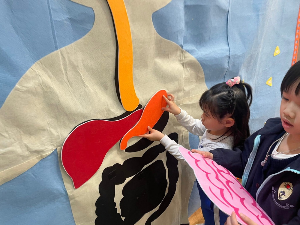 1767693213257185.jpg 1767693213257185.jpg