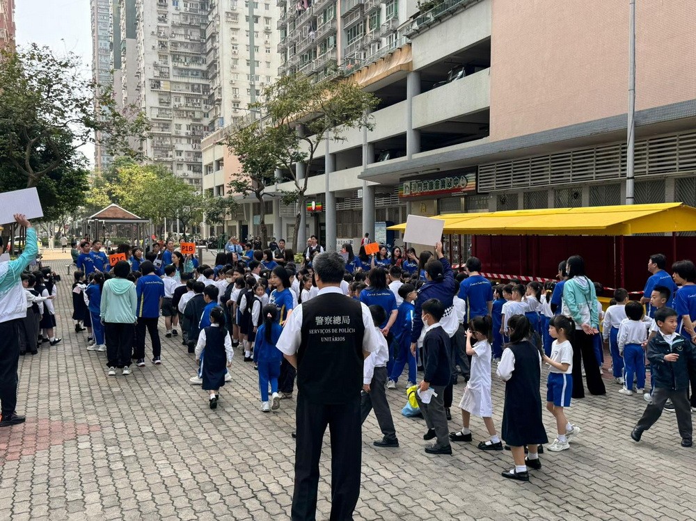 1774841182213038.jpg 1774841182213038.jpg