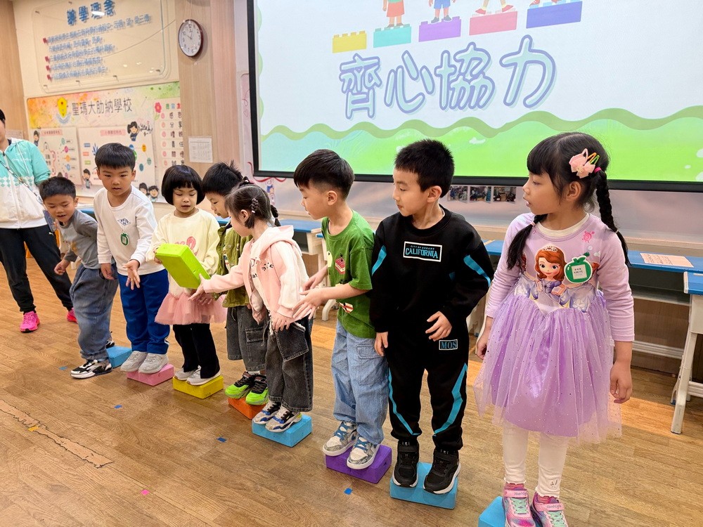 1774842726820301.jpg 1774842726820301.jpg